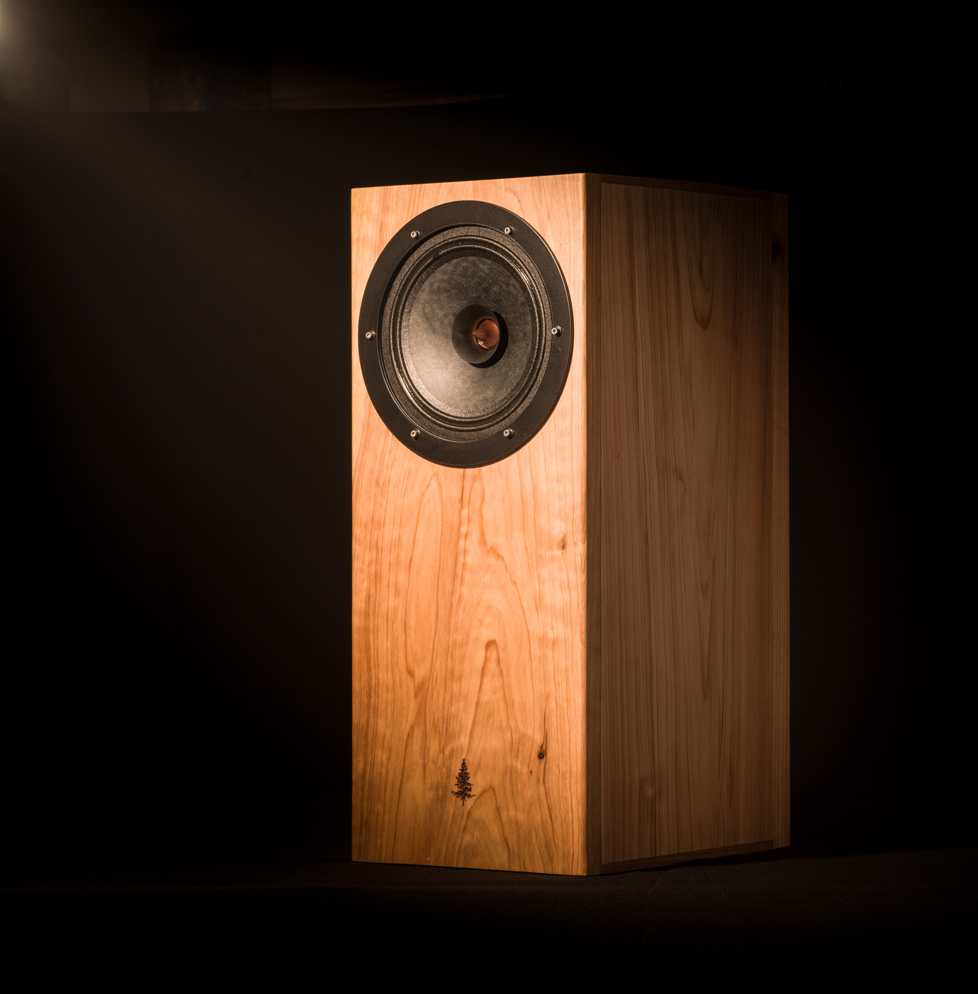 Fayal loudspeaker
